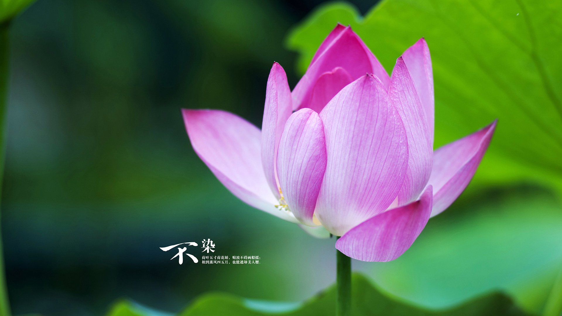 kaiyun体育综合-_篮网持续火力，全场压制对手_，篮网引起众怒