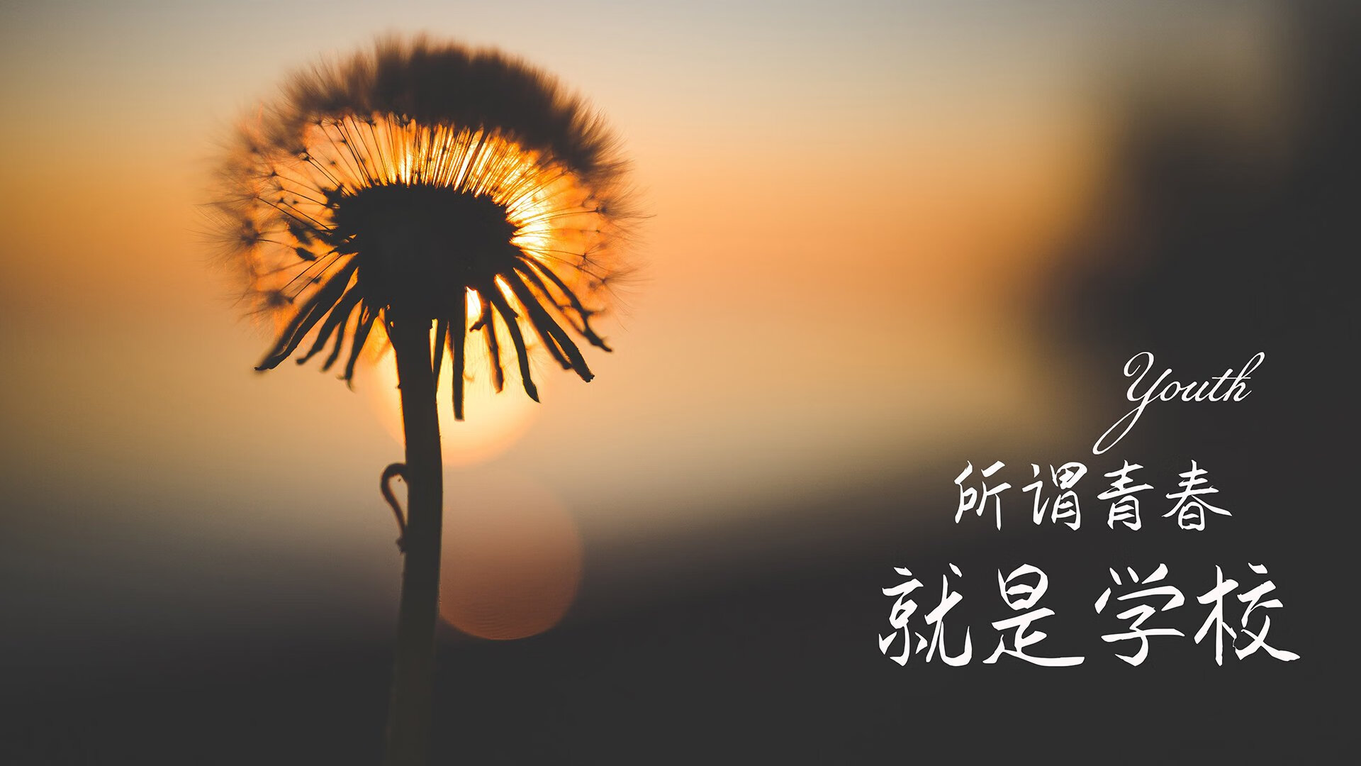 KAIYUNAPP-_运动员家庭支持：幕后温馨故事感动人心_，运动员 家境