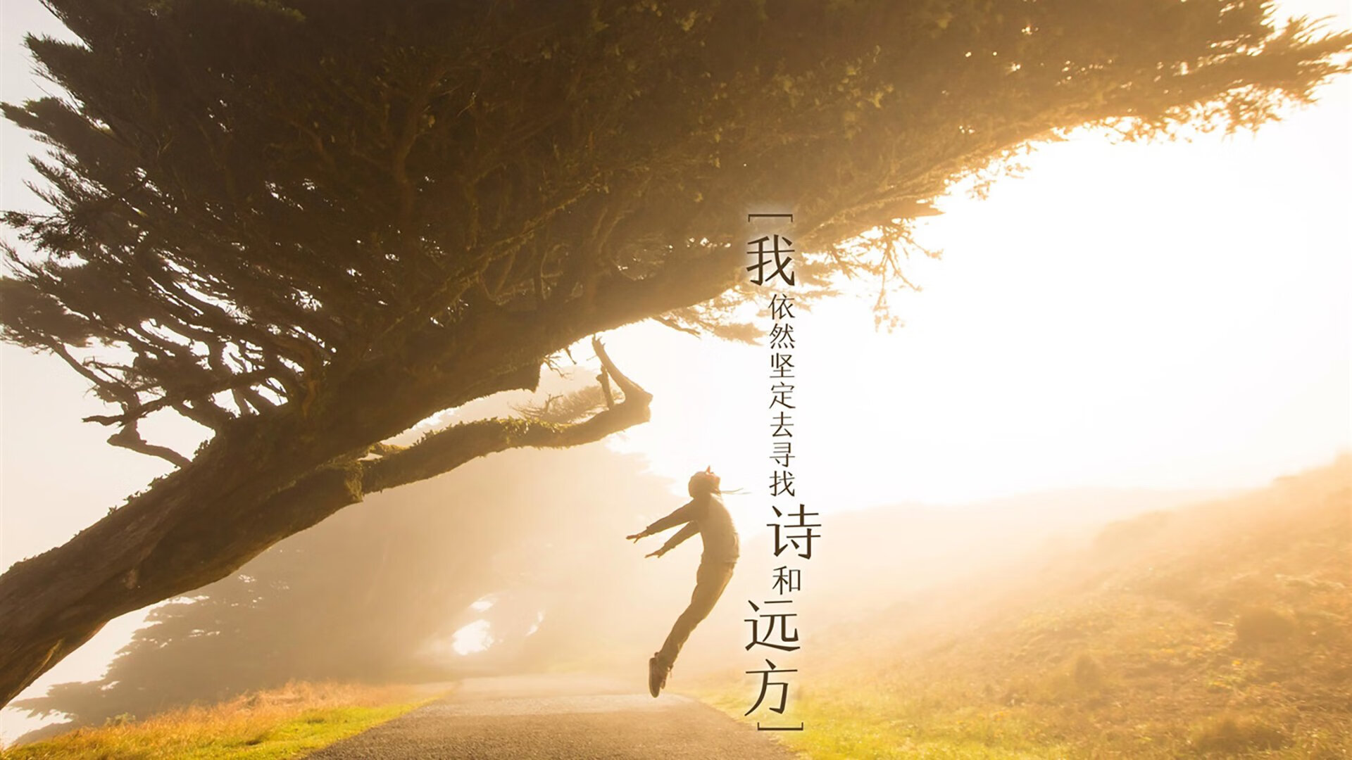 开云体育-德甲俱乐部引入先进训练设备，提升青训水平，德甲俱乐部引入先进训练设备,提升青训水平