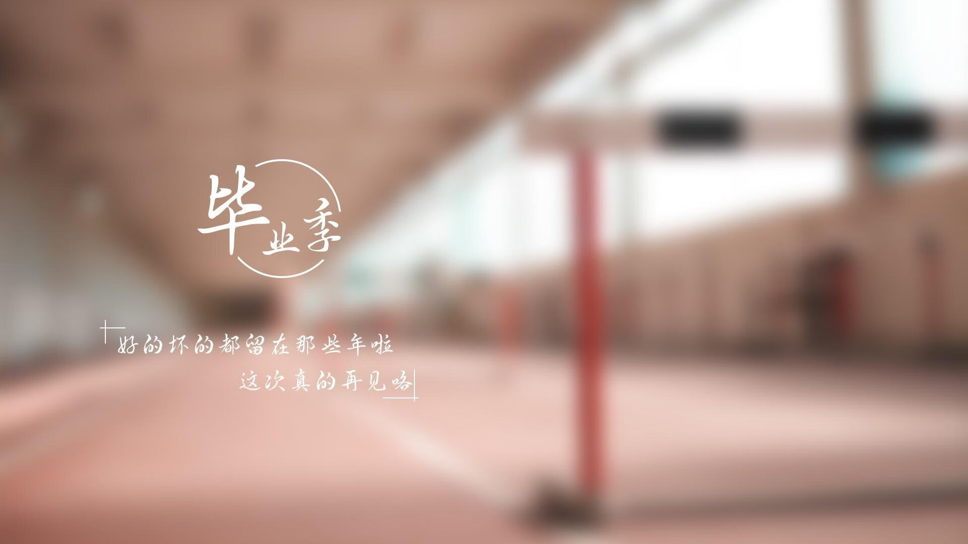 勒沃库森在场上展现出坚韧拼搏的精神，取得胜利，勒沃库森战绩聚胜顽球汇