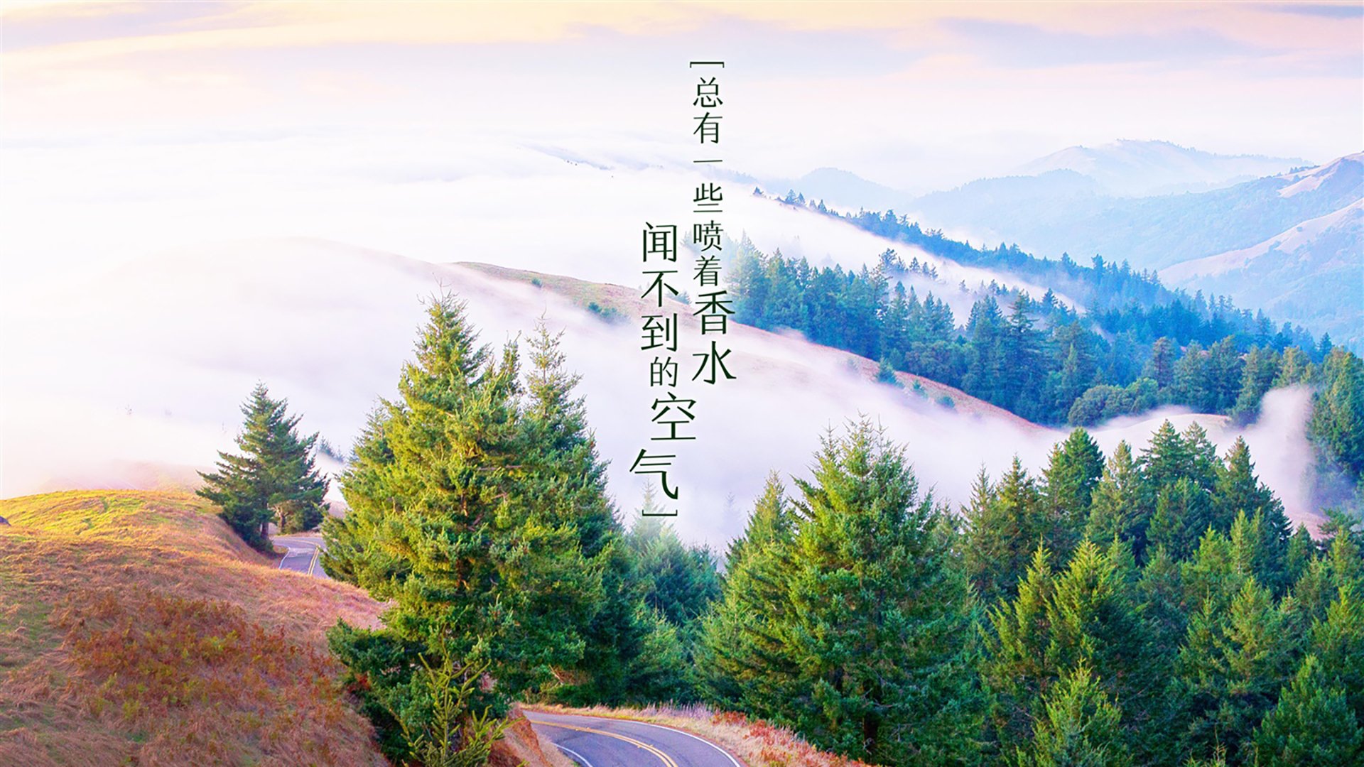 雄鹿翻盘热火，季后赛首轮中字母哥篮下统治全场，雄鹿公布字母哥