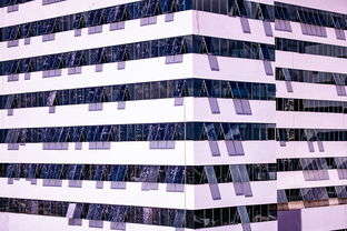 kaiyun网站-体育赛事风险管控体系建设，体育赛事风险防范