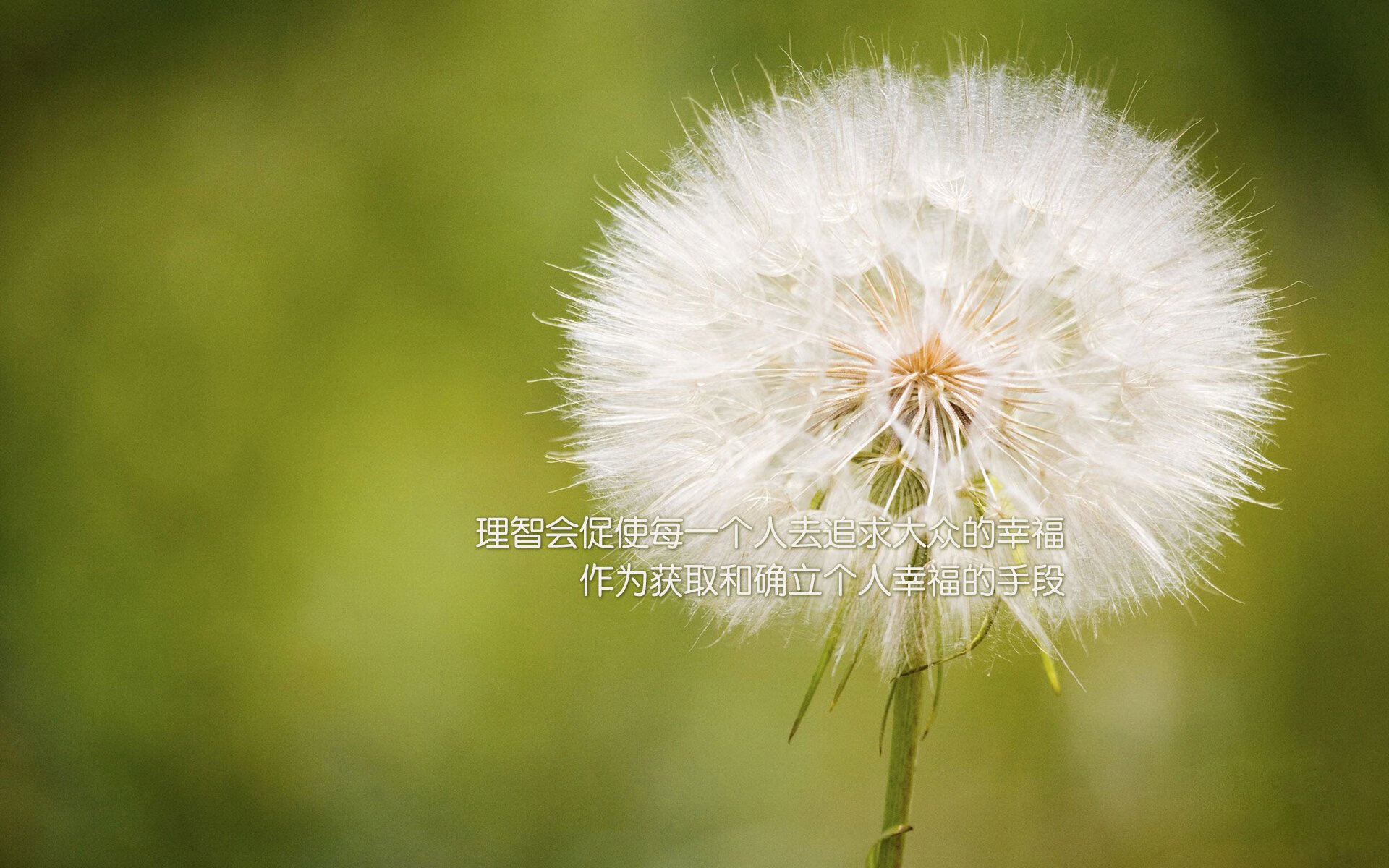 体育赛事风险管控体系建设，体育赛事风险防范