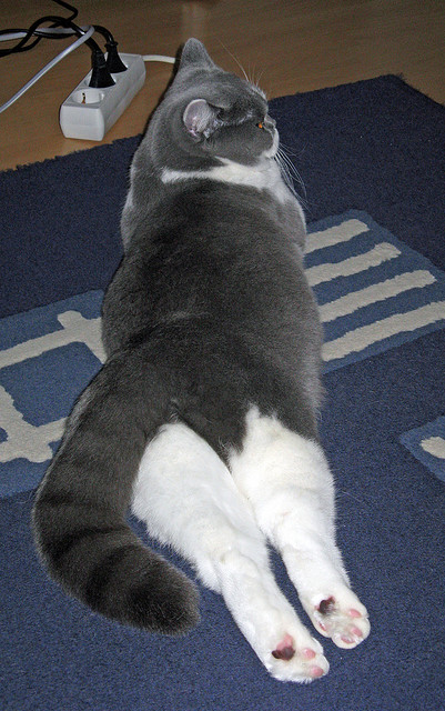 德甲球队利用大数据分析优化进攻转换效率，德甲球队利用大数据分析优化进攻转换效率的方法