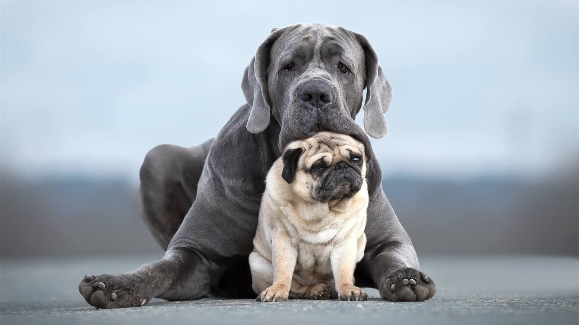篮球运动员专项体能训练效果的科学评估方法,篮球运动员体能训练内容