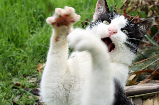 kaiyun官方网站-“三叉湖飞盘赛：空中飞盘与极速传球的完美碰撞”