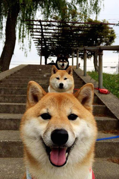 中超联赛中国女足战胜 球员状态回升明显，中国女足反超