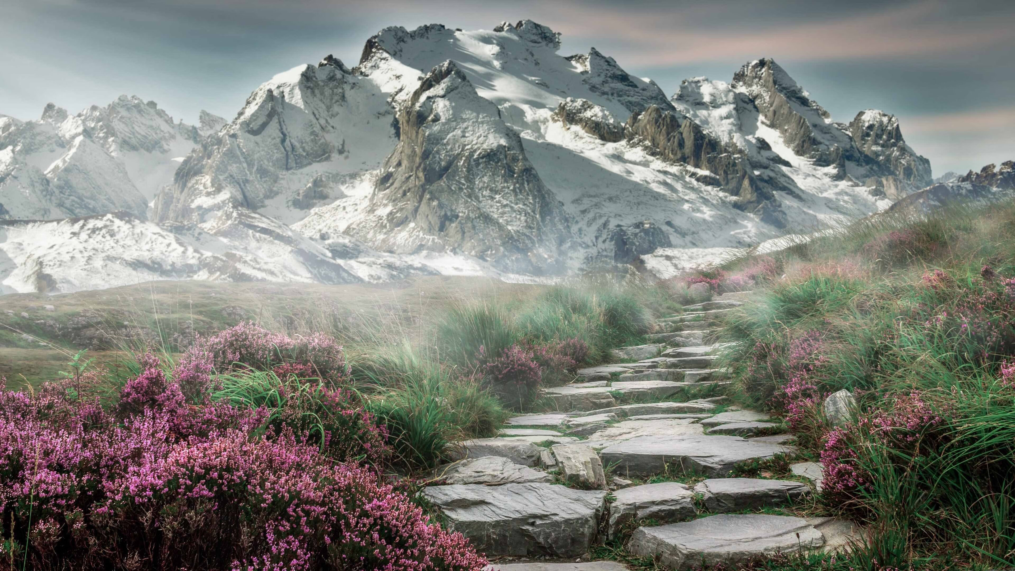 开云官网-体育新闻中心上线体育话题热度智能追踪平台，体育新闻最搜狐