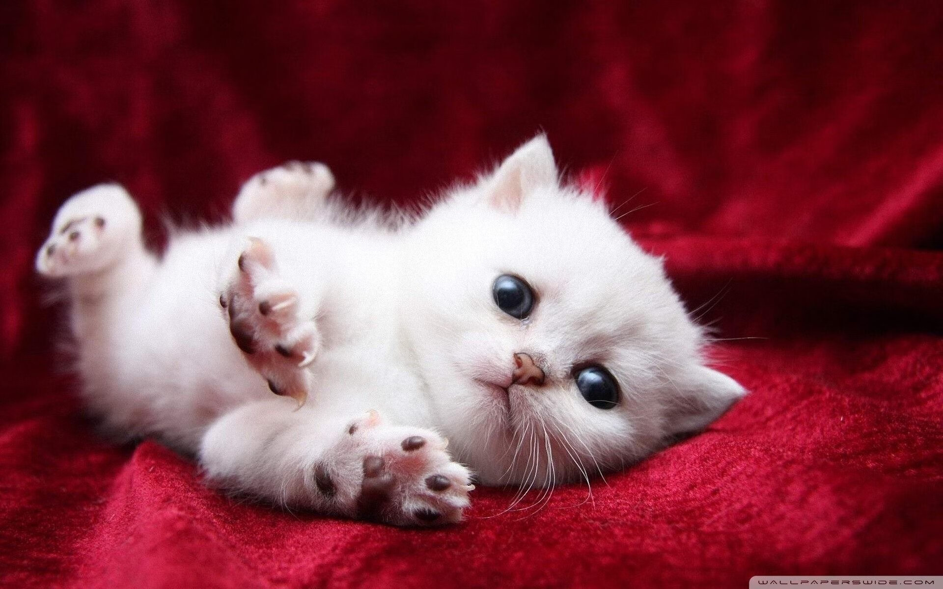 关键 U23国足冲击 东亚杯写下新篇章，2021东亚杯国足