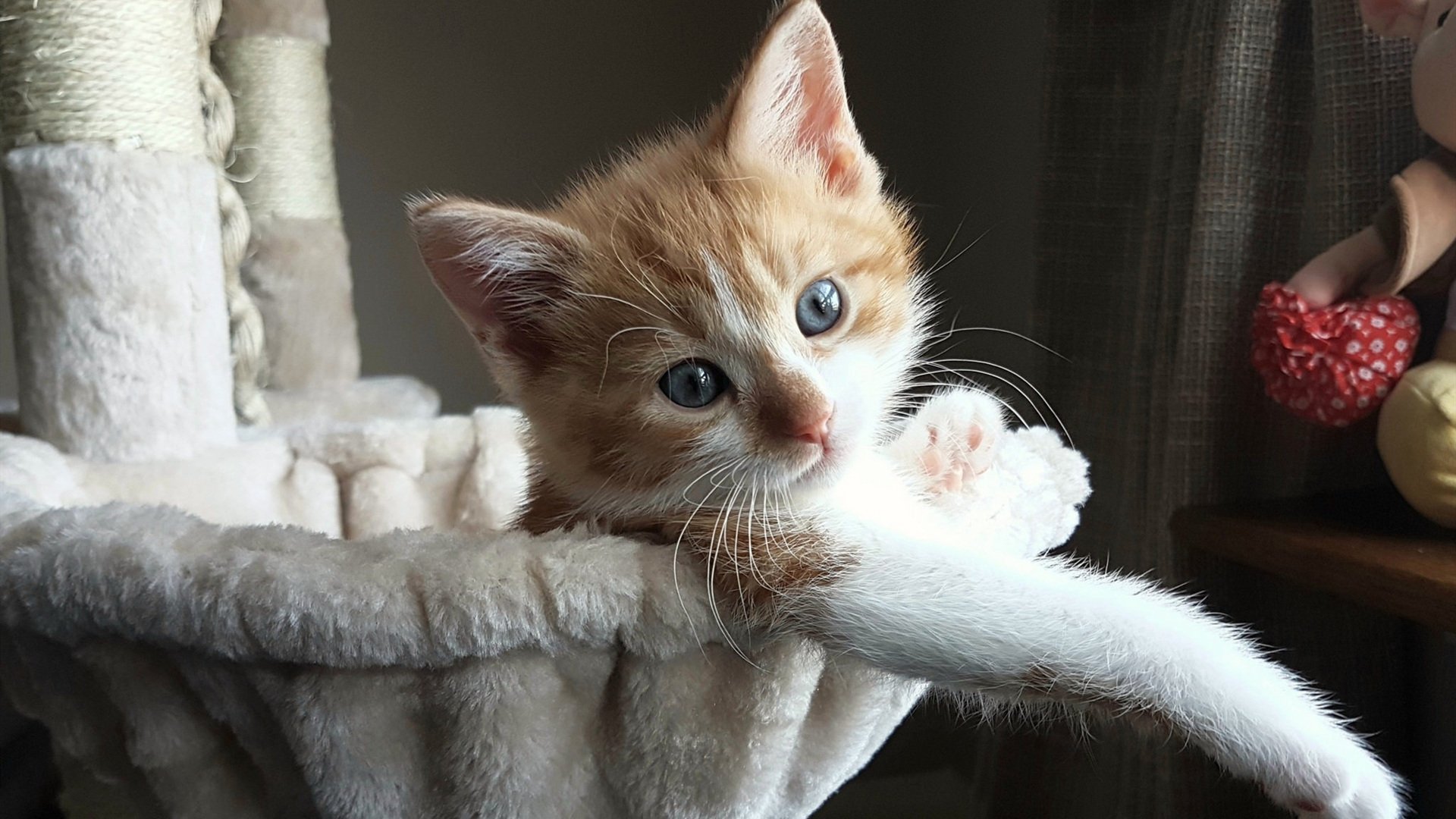 场馆照明技术革新满足转播需求，场馆灯光设计