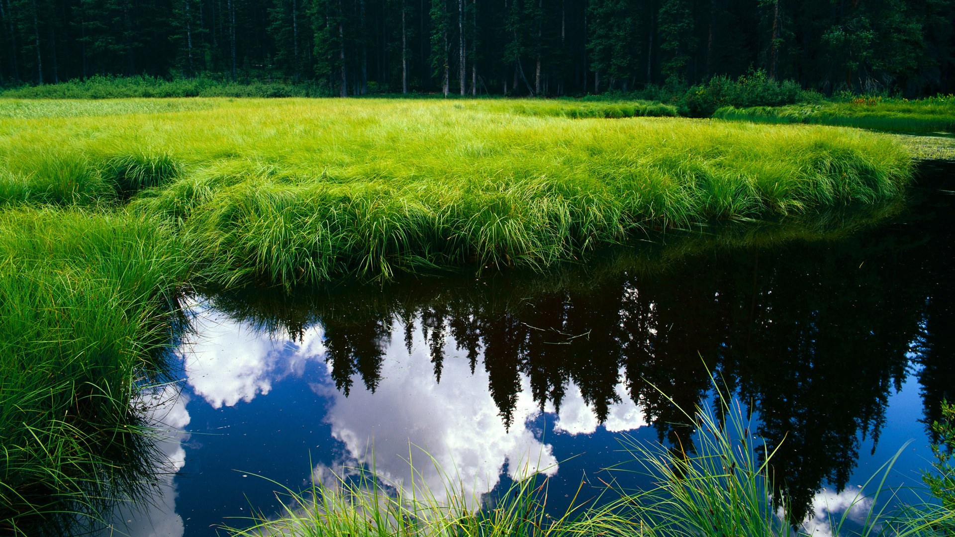 比赛中球队整体节奏是否随控卫而变,球队比赛规则