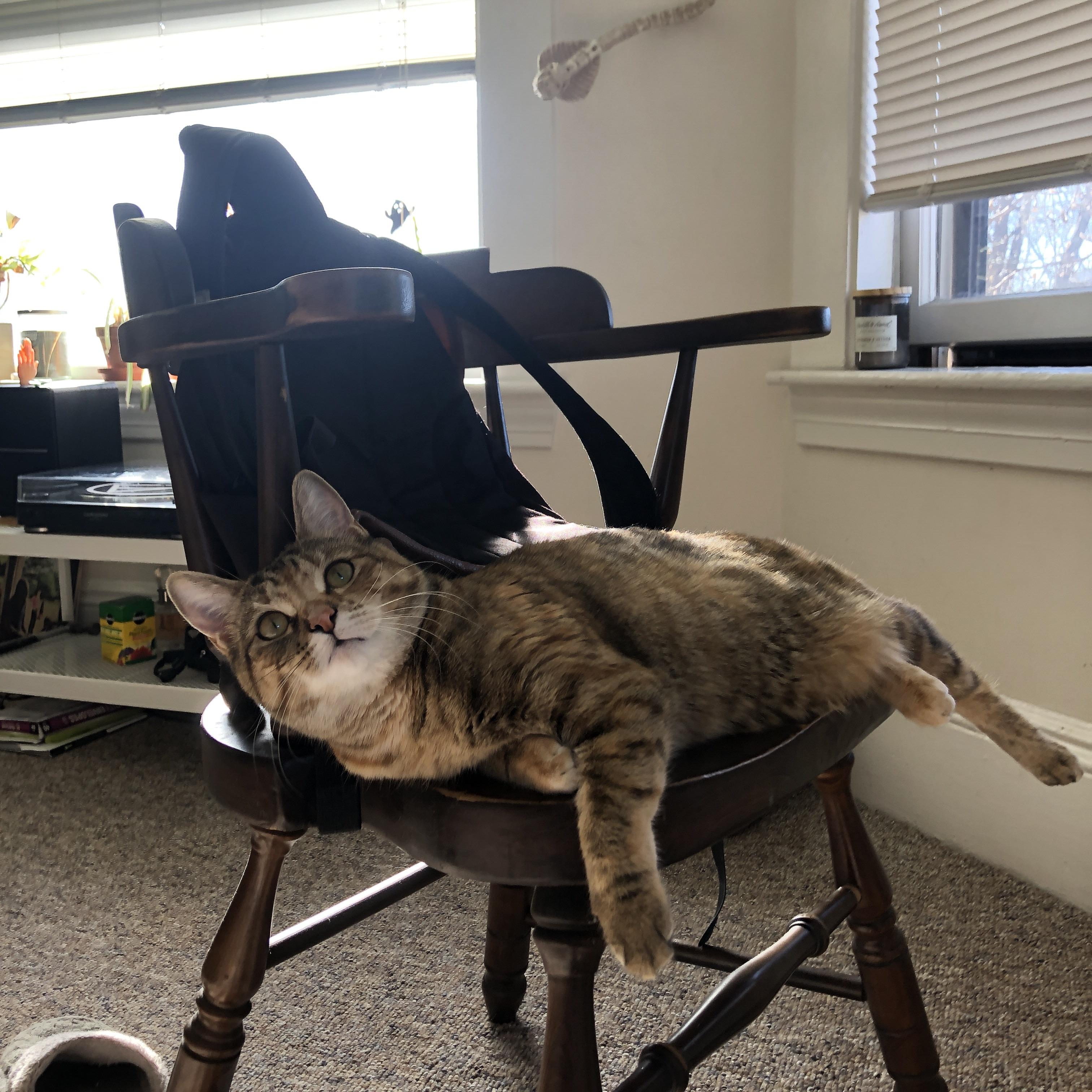 开云网页版-浙江对阵辽宁CBA四强对决引爆期待