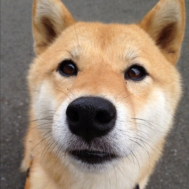 中国足球推动基层教练培训职业化提升执教质量,中国足球协会教练员培训管理规定