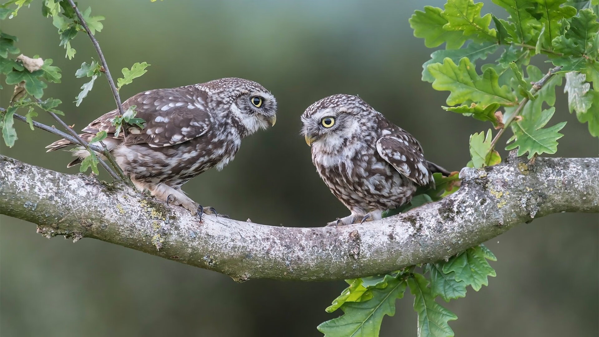 kaiyun体育app-体育明星参与公益捐赠助力教育发展，体育界做慈善的明星