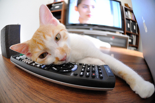 国内顶级足球赛事新闻中心微信公众号正式上线,全国足球推荐很稳的公众号