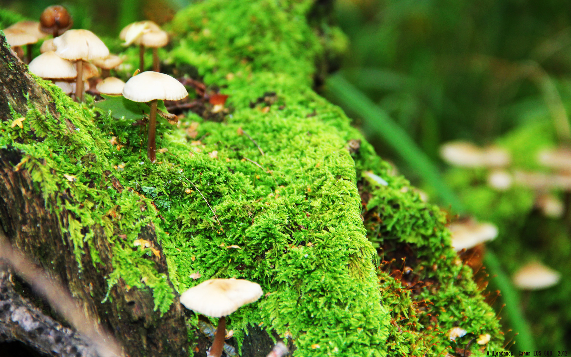 kaiyun开云·官方网站-职业联赛推动科学体能训练减少运动伤害