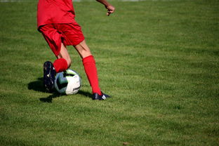 开云体育中国官方网站-NBA球员技术动作进阶训练，nba球员训练方式