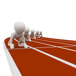 开云登陆-全运会筹备工作进入冲刺阶段，全运会备战方案